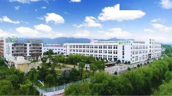 正式开工天台乡贤王道龙投资8亿元在武汉建设智能工厂